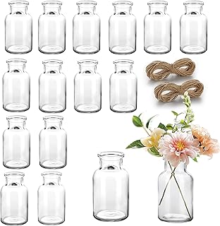 15 Stück Mini Glasvasen, 130ml Kleine Vasen für Tischdeko Hochzeit Deko Vasen Set mit 2 * 8m Juteschnur, Kleine Glasvasen, Glasfläschchen Tischdeko Mittelstücke