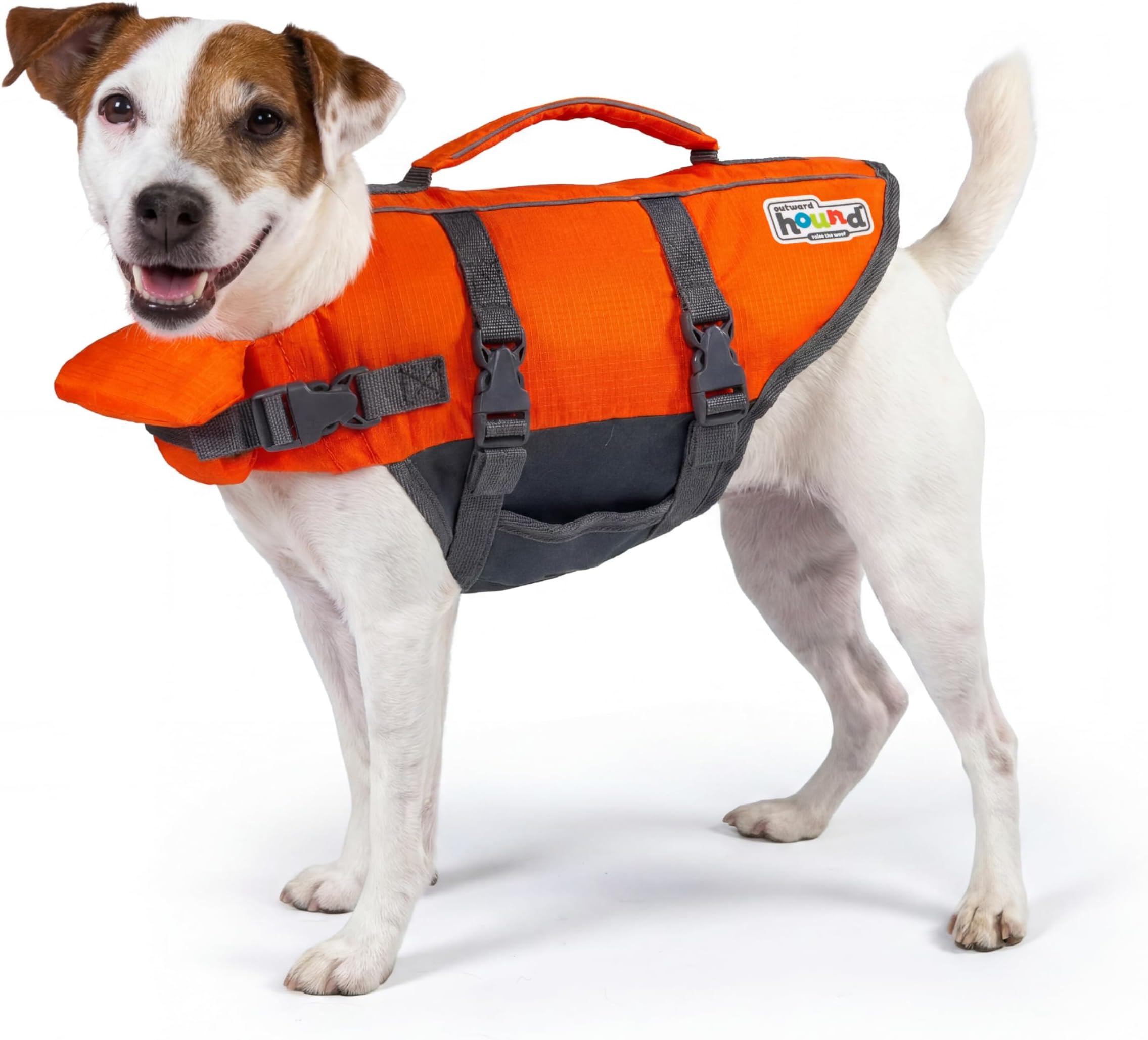 Granby Splash Orange Dog Life Jacket, Small