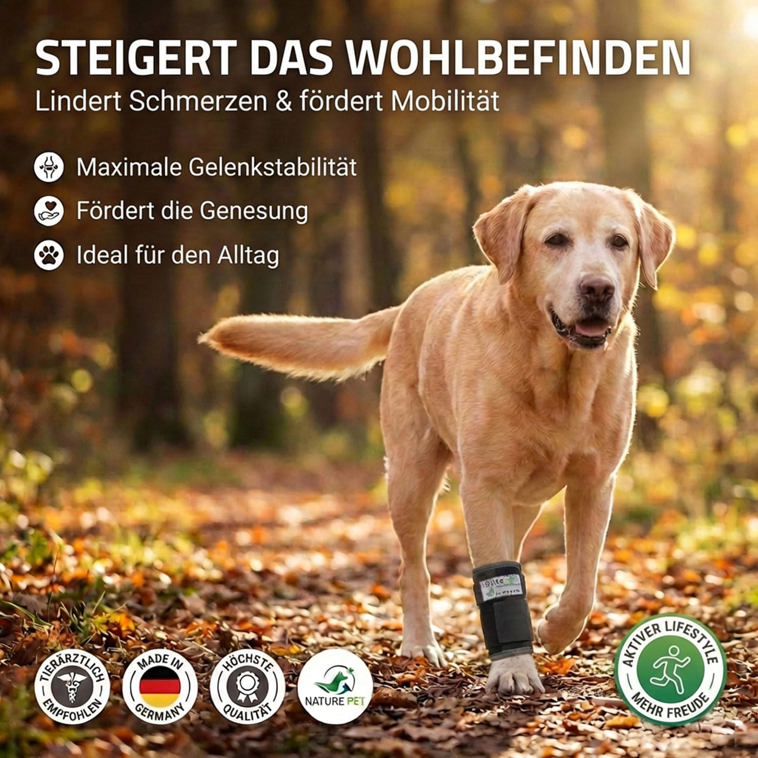 NATURE PET Premium Benda per Polso Cani/per l’articolazione Carpale/per Le Zampe Anteriori - Nero - XL