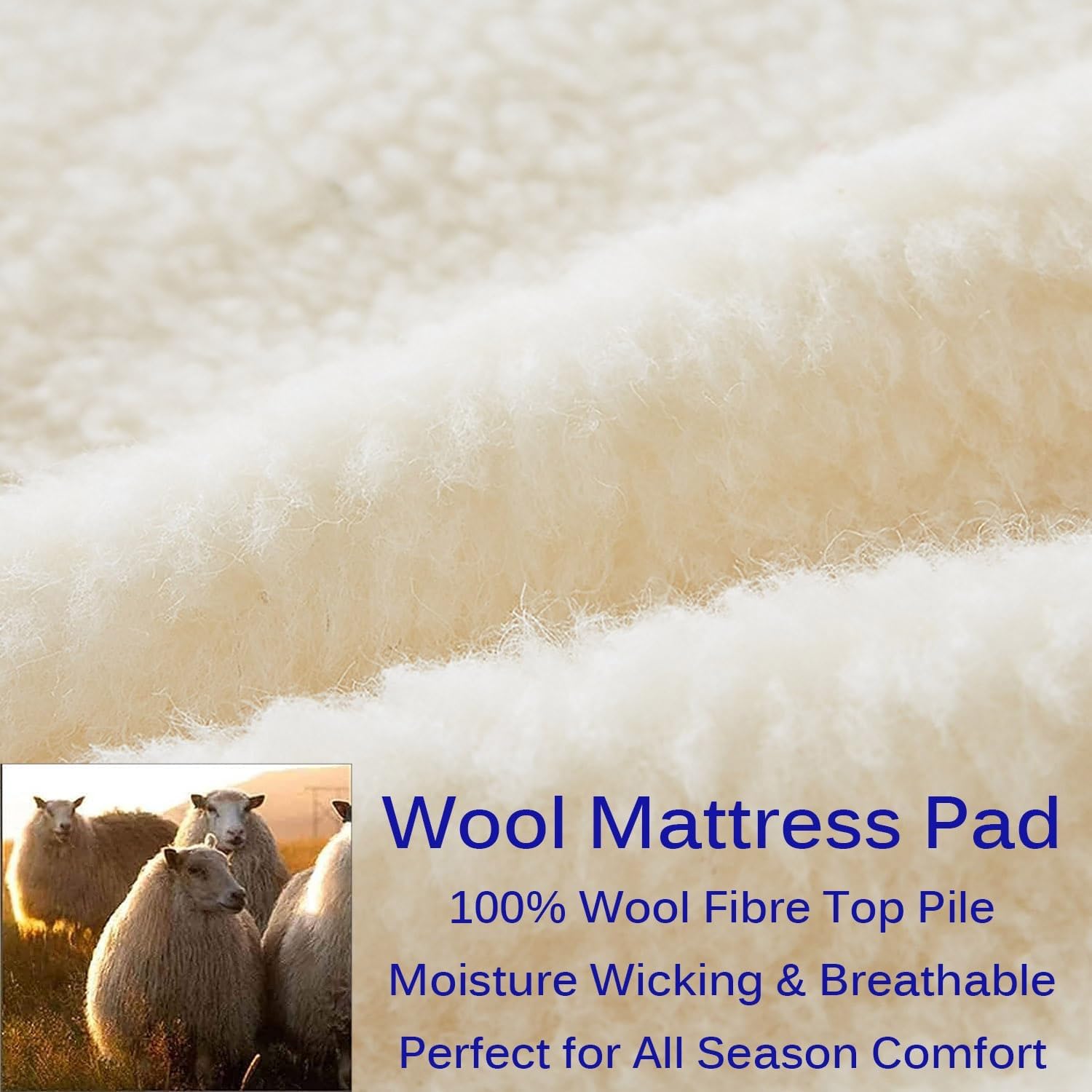 100% Wool Fleece Fitted Mattress Cover Pad with Elastic Bands,Breathable Lamb Wool Mattress,Thicken Pure Wool Bed Topper,Folding Lamb Velvet Mattress,for Twin/Full/Queen/King(Queen(150x200cm), White)