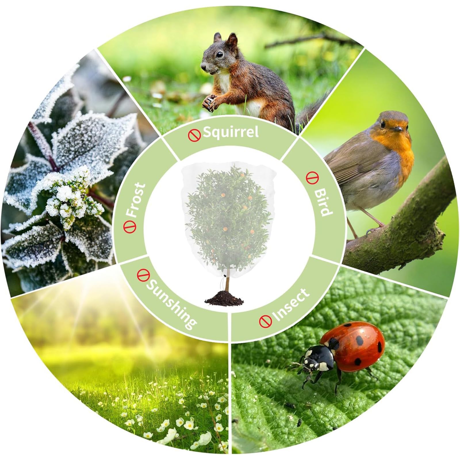 Red antipájaros y ct para plantas con cremallera y cordón, malla 60 (1 mm), protección transpirable contra insectos asiáticos, pájaros y pulgones - Saco de cubierta para árboles frutales