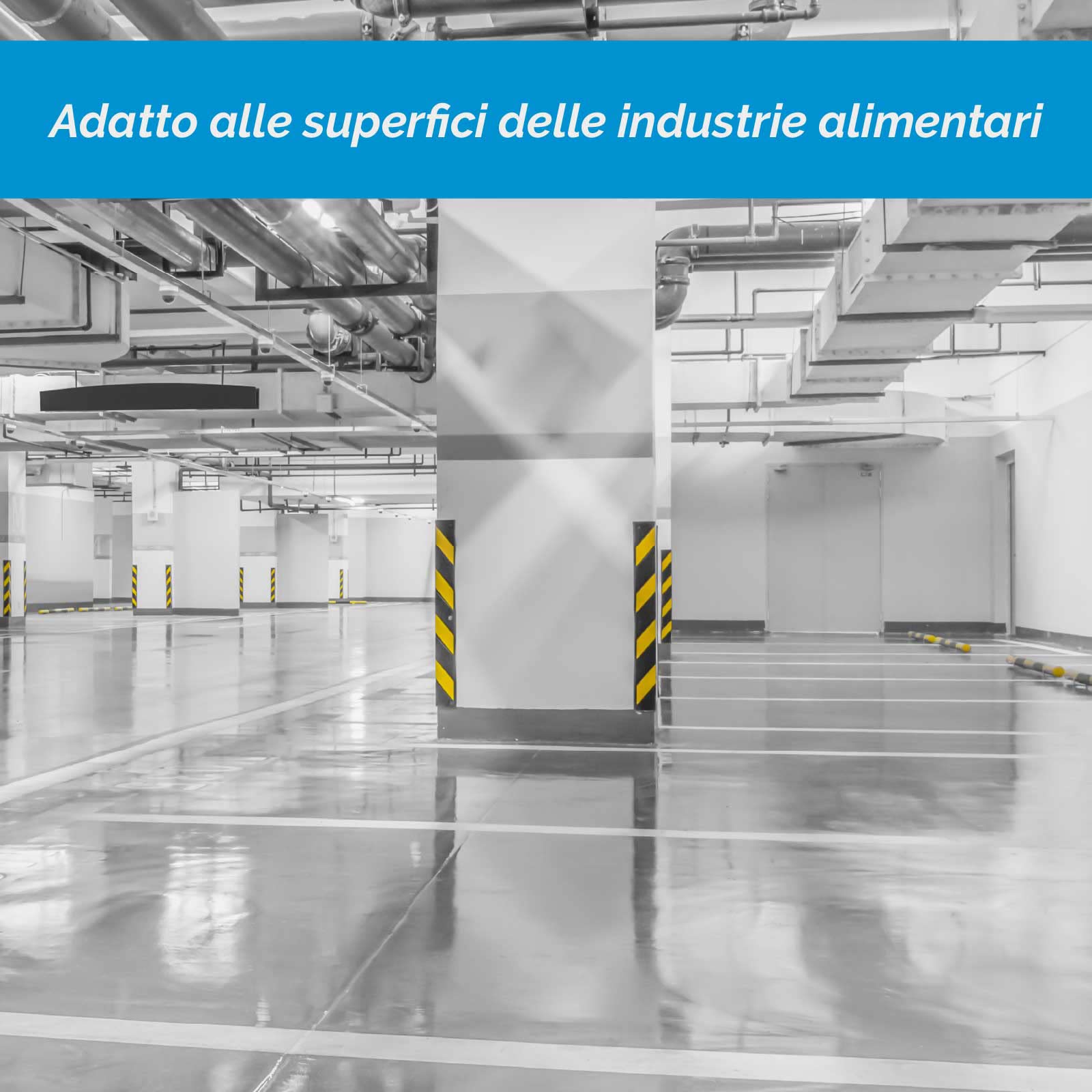 DISINCROSTANTE Acido Industria Alimentare DEKAL P CONCENTRATO - Tanica da 30 L