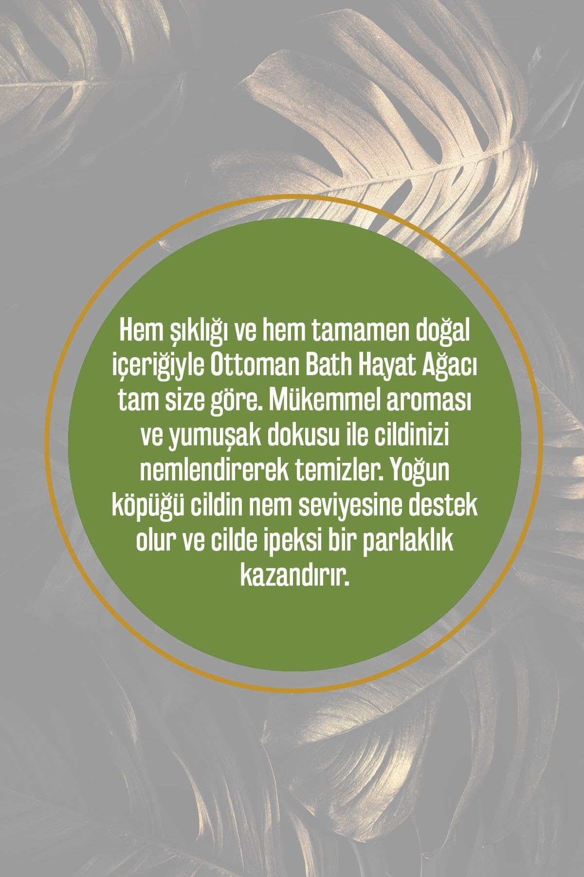 Olivos Ottoman Serisi Penç Zeytinyağlı Katı Sabun - Osmanlı Kültüründen İlham Alan Doğal Cilt Bakımı, Geleneksel Hamam Kokulu, Özel Kutusunda Hediye Seti, 100 gr x 2 (Penç)