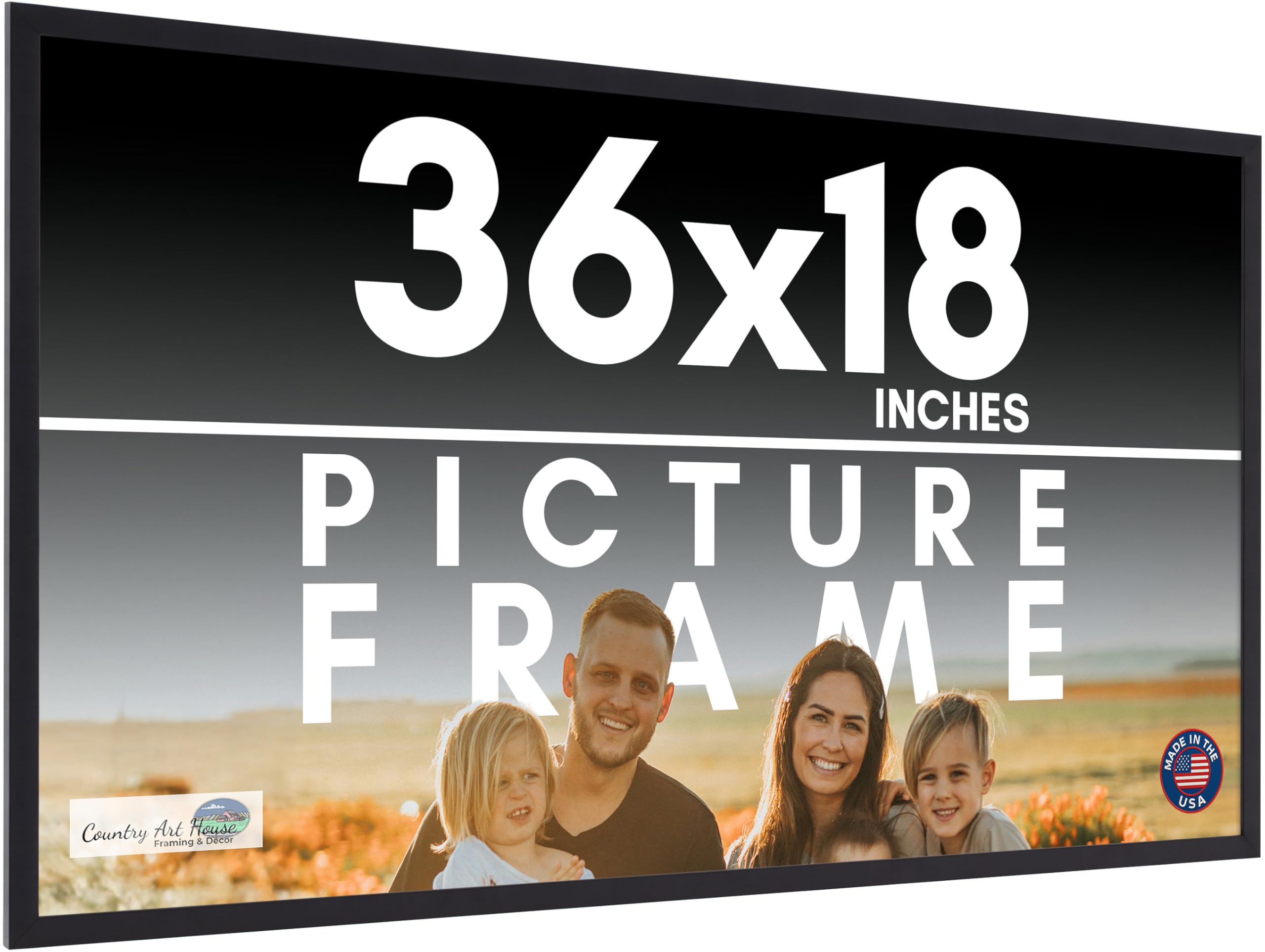 Amazon.com - 36x18 Frame Black Picture Frame - Complete Modern