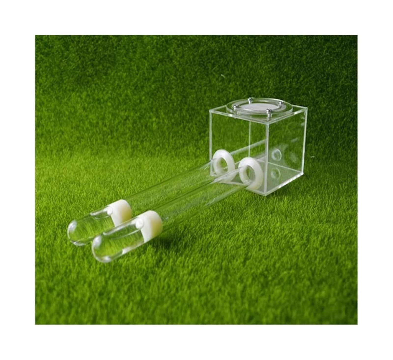Acrylic Ant Nest