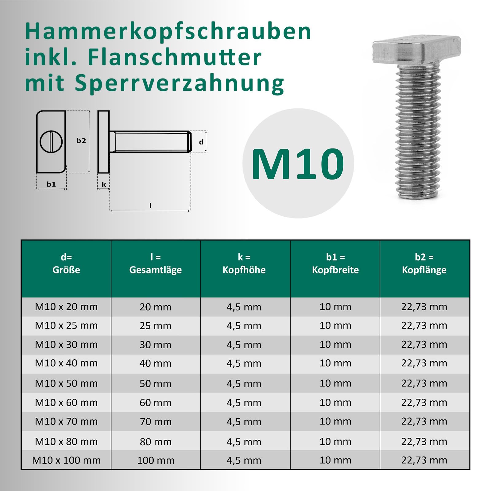 DSM – Tornillos de cabeza de martillo con tuerca de brida M10 x 50 mm – Tipo 28/15 – Acero inoxidable A2, resistente al óxido – Tuerca con dentado de bloqueo según DIN 6923 – Juego de montaje para