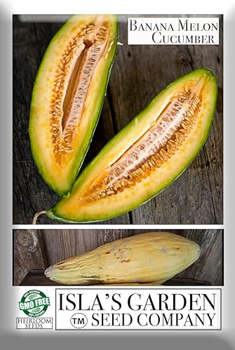 Miniatura 5 de Semillas de pepino de melón de plátano, exóticas y raras, más de 120 semillas de reliquia por paquete, semillas de jardín de Isla (semillas de
