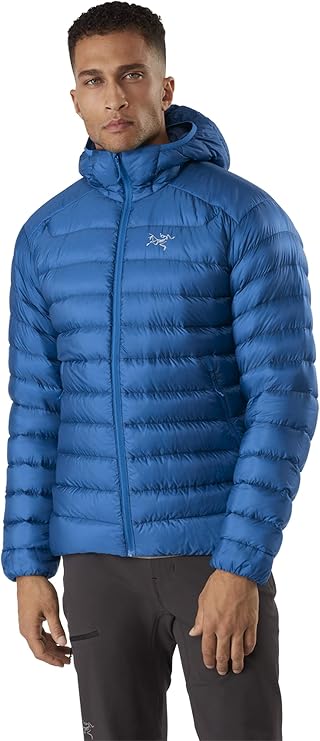 Amazon | ARC'TERYX セリウム LT パーカー メンズ(ポンペイ、スモール
