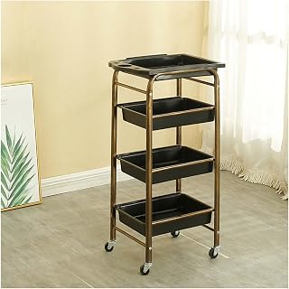 Hairdressing Trolley with Top Basket Large Storage Rolling Multifunctional Hairdressing Salon Equipment with Portable Armrests Hairdryer Holder with Wheels 4/5 Tiers Optional (Color : A, Size : 4 fl