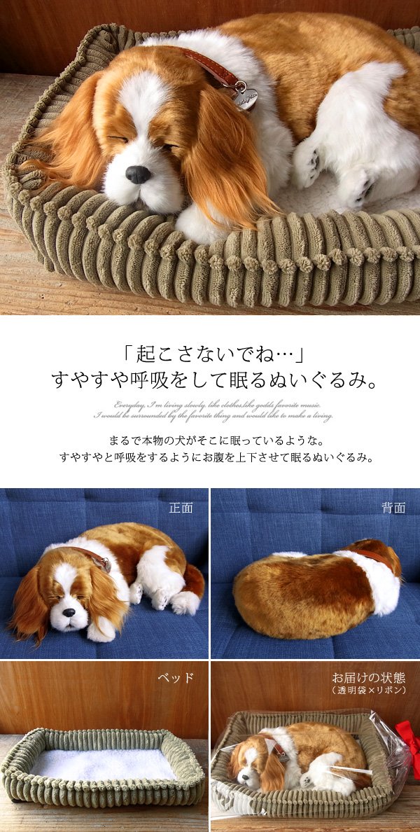 NINI&QUINO 呼吸する パーフェクトペット (大サイズ) キャバリア犬 Amazon.co.jp: ニニアンドキノ パーフェクトペット (大サイズ