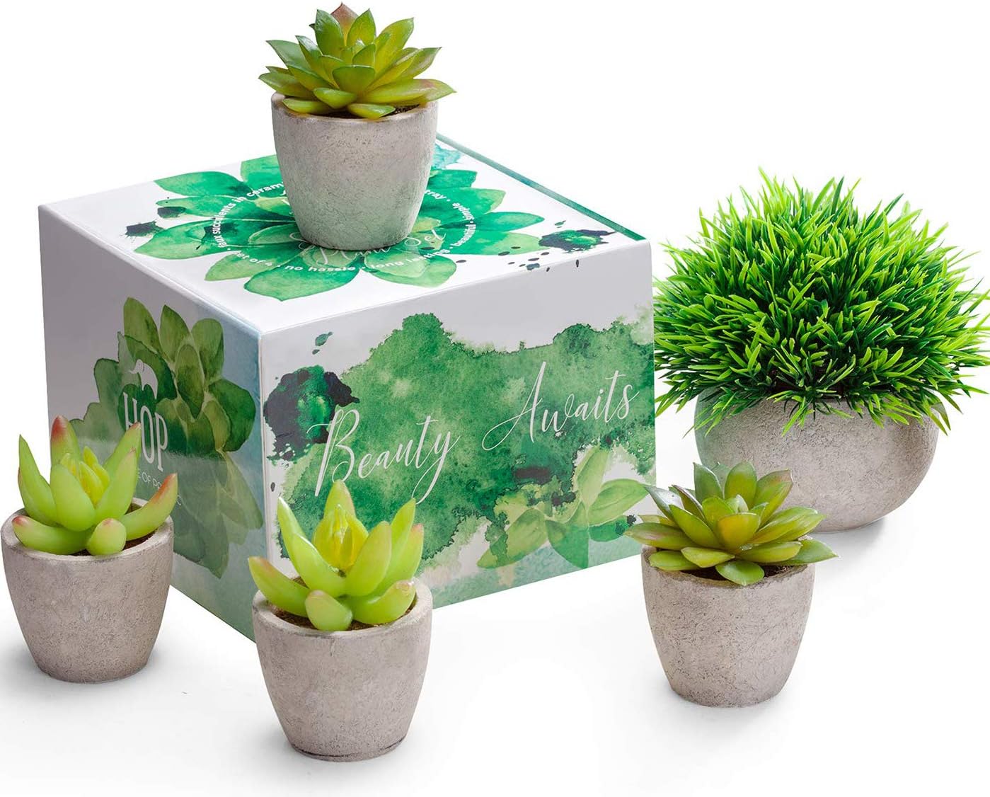 Artificial Succulent Plants Potted - Fake Succulents - Set of 5 - Faux Plants