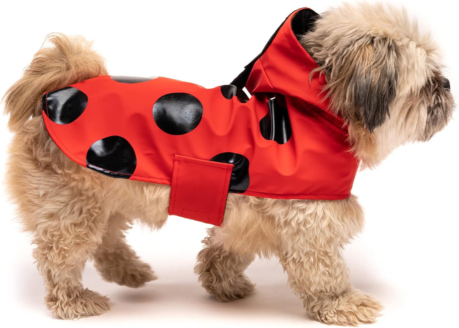 Country Living by Silver Paw, WaterResistant Large Dog