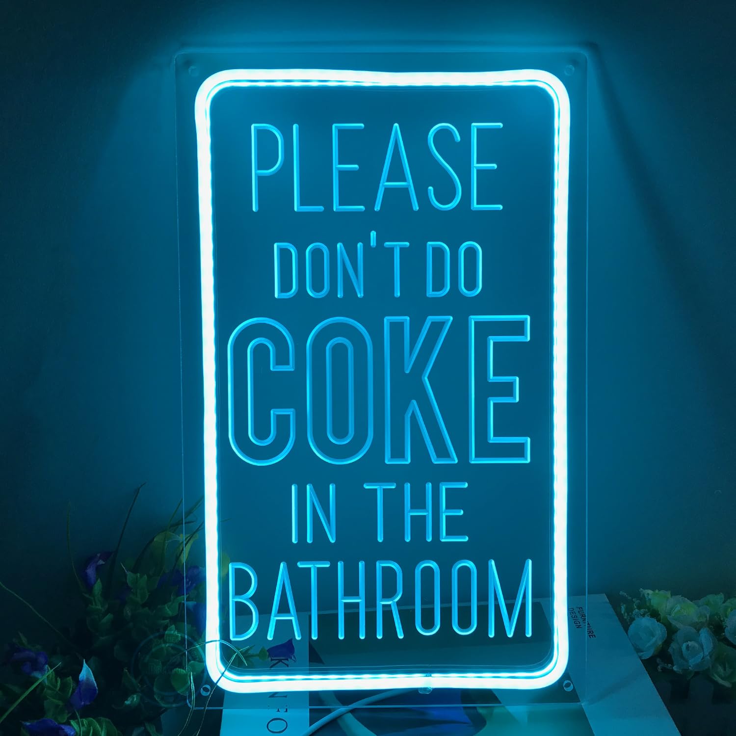 Britrio Please Don’t Do Coke in the Bathroom Neon Sign Wall Decor LED Bedroom Dorm Office Wall Art Light Up Word Neon Light Home Bar Club Cafe Shop Salon Man Cave Window Wedding Birthday Party Gift 5V USB Ice Blue