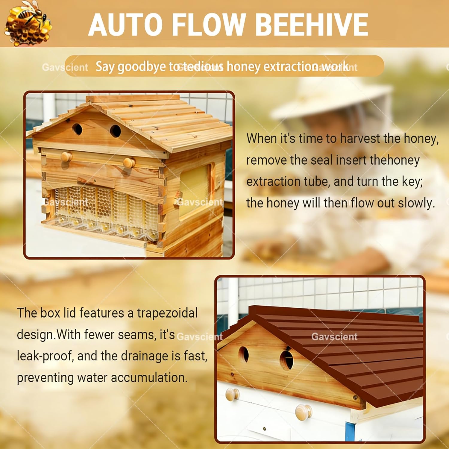 Flow Hive Beehive Starter Kit, Wooden Auto Honey Harvest Beehive with Detachable Honeycomb Trays and Frames, Durable Beekeeping Equipment for Home Garden and Small Apiary Use