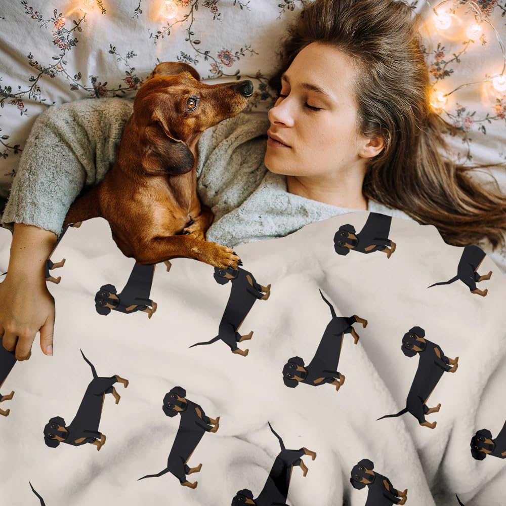 ARTBLANKET Cute Wiener Dog Dachshund Throw Blanket Fannel Fleece