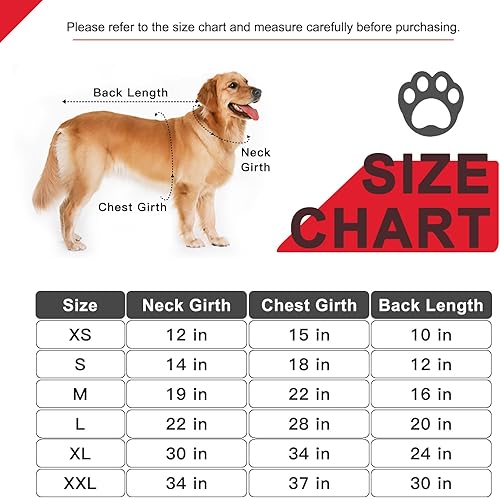 Miniatura 2 de EXPAWLORER Sudadera básica con capucha para perro, suéter de otoño para perros pequeños y medianos, niños y niñas, con agujero para la correa y