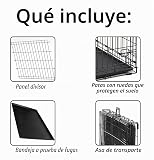 Ver la foto 5