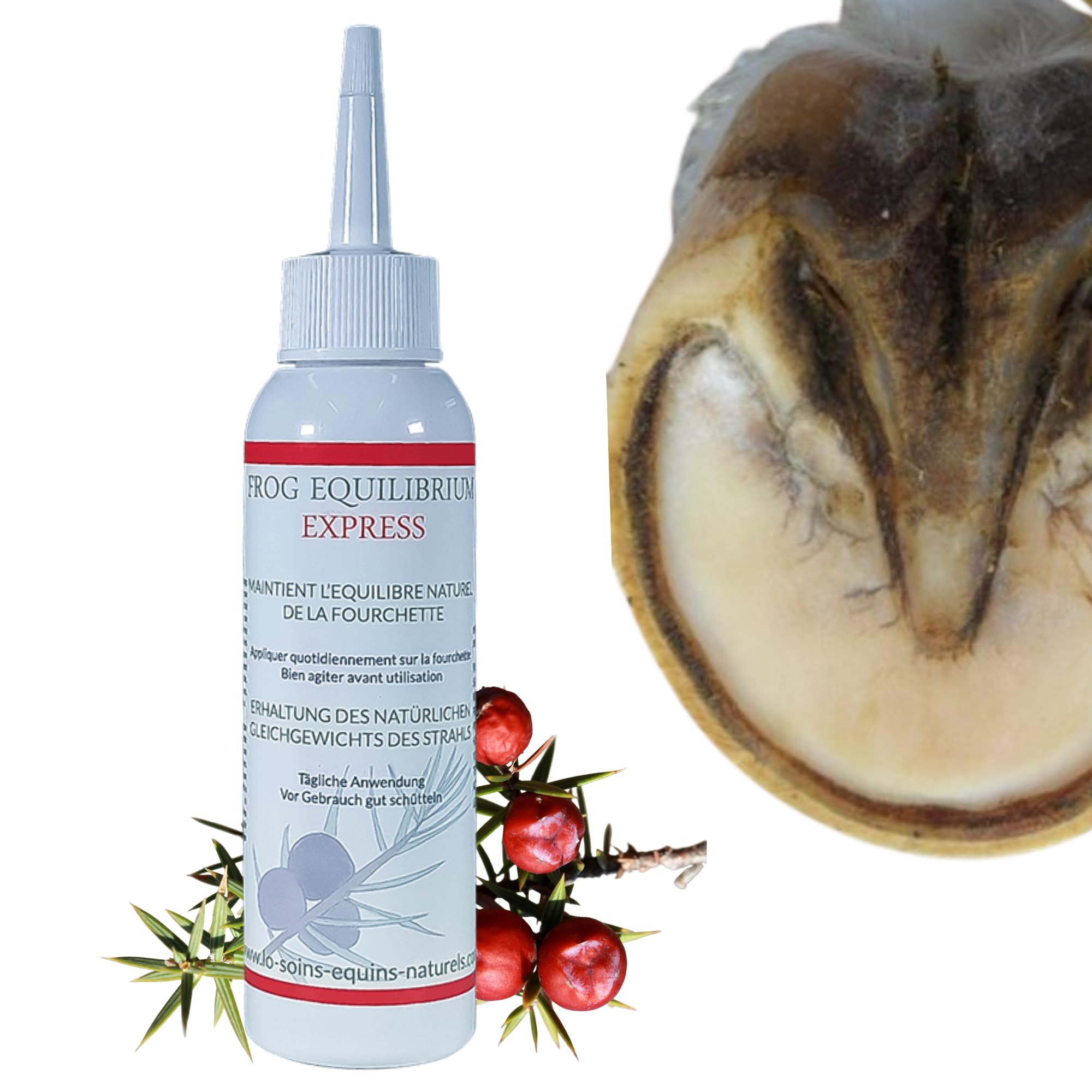Frog Equilibrium Express - Soin Naturel réparateur et Protecteur des fourchettes pour Cheval - Retour Rapide à l'état physiologique (125 ML)