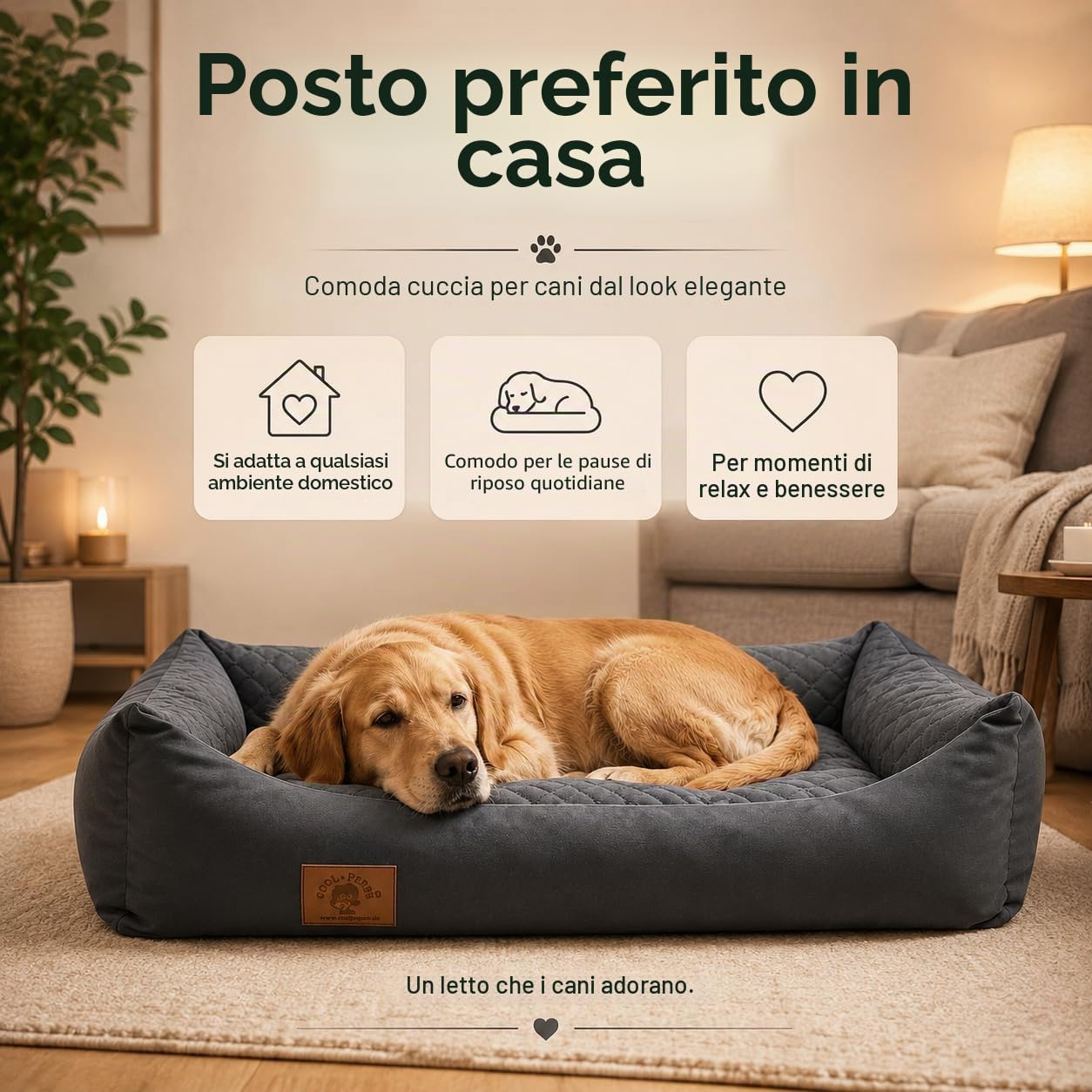 Odolplusz - Cuccia per cani XXL, cuscino per cani, divano per cani con cuscino reversibile (dimensioni e colore a scelta)