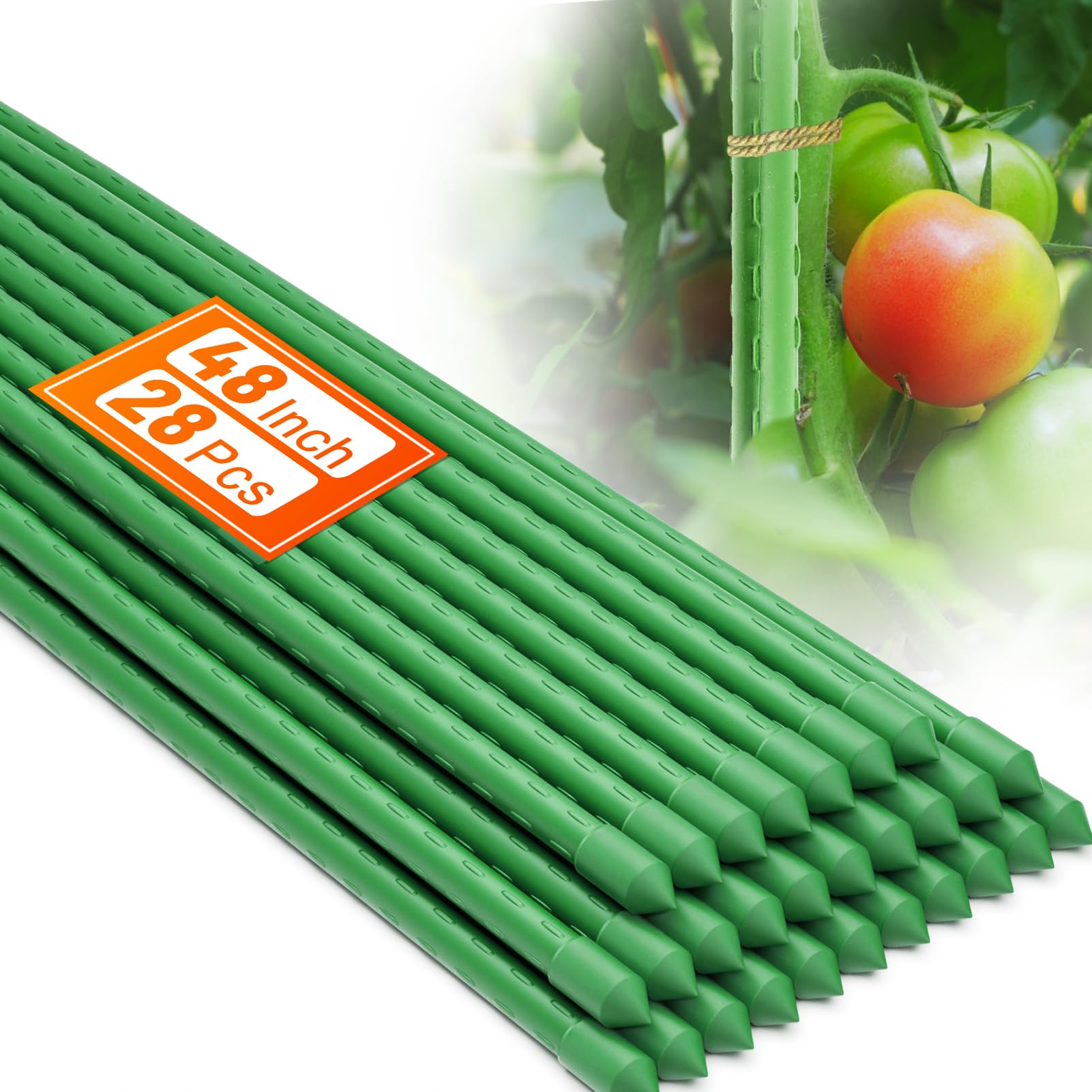 コマスティック　TP552 グリーン Amazon.com : Fabulas Garden Stakes 4Ft, 28 Pack 48 Inch Plant