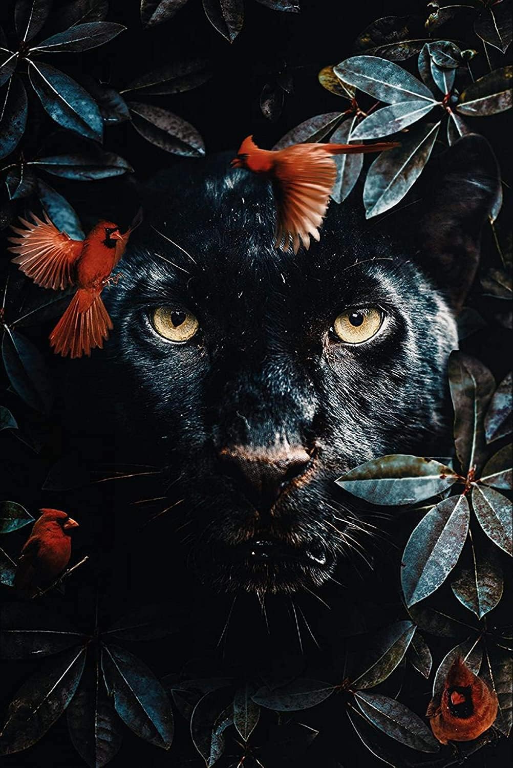 Dunyodagi eng yaxshi porno film Onlayn erotika Italiya Frantsiya