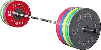 Amazon | FitElite(フィットエリート)バンパープレート 2枚1組 (15KG