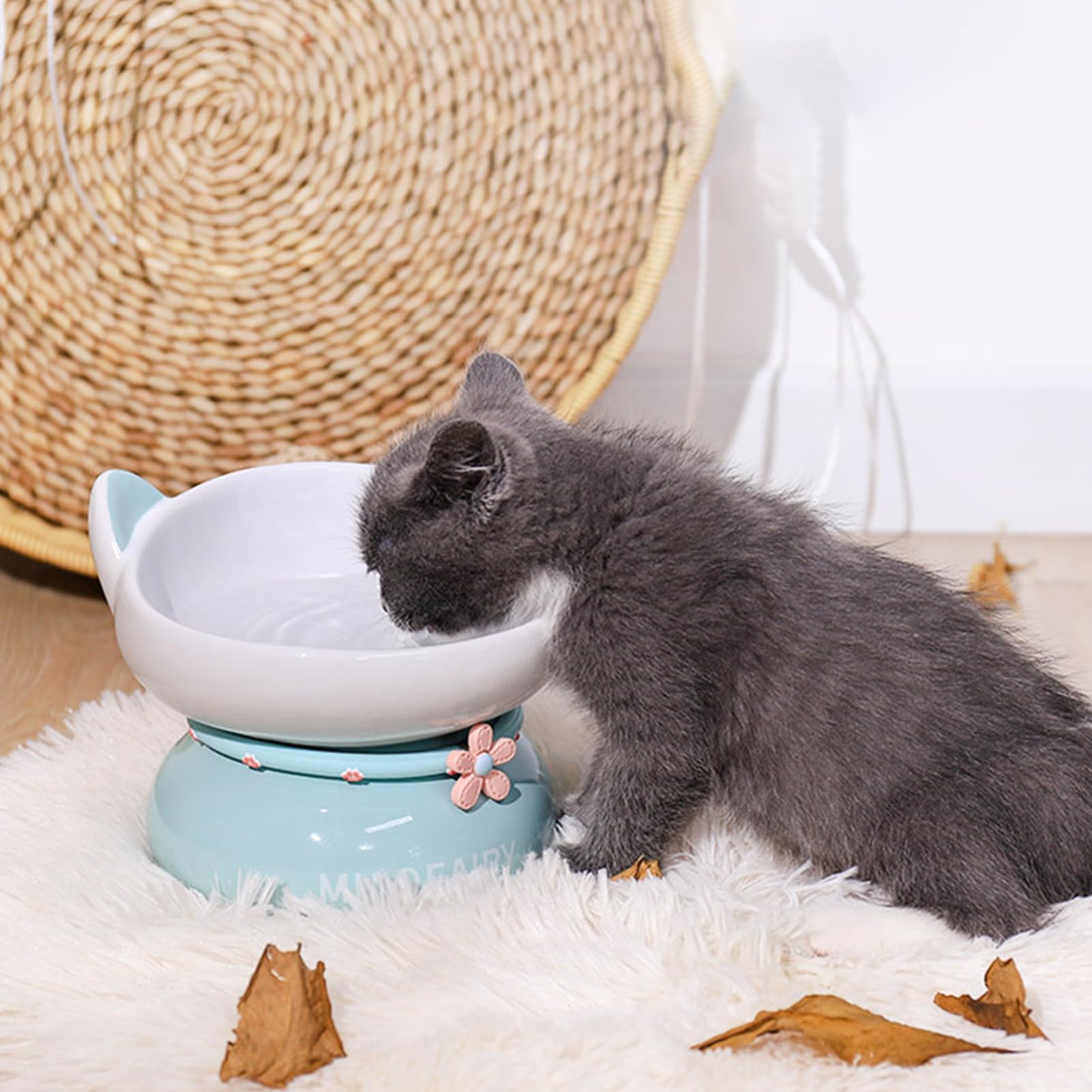 Katzennäpfe – abgeschrägter Mund, Hundenapf, 15,5 x 15,5 x 13 cm