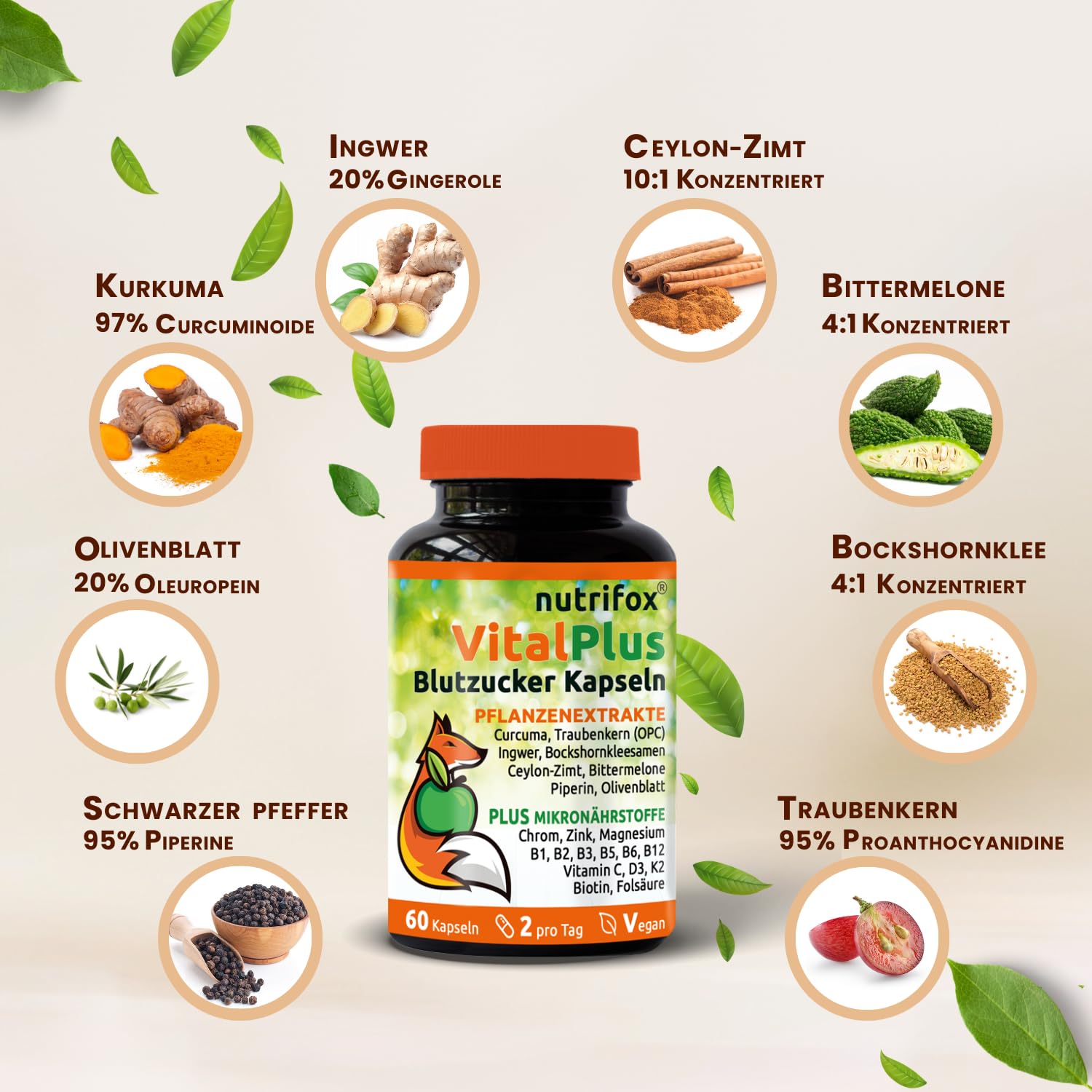 60 Blutzucker Kapseln Vital Plus (Ceylon-Zimt, Chrom, Zink, OPC, Bittermelone, Bockshornkleesamen, Kurkuma, Ingwer, Vitamin B-Komplex, usw.) 1 Monat, von Beratern für Diabetes