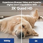 Lorex 2K Dual Lens Indoor Wi-Fi Security Camera with Dual Lens | Auto-Tracking | 360° Pan-Tilt | Person & Pet Detection | IR Night Vision | 2-Way Talk | Cloud & 32GB Local Storage | Proudly Canadian