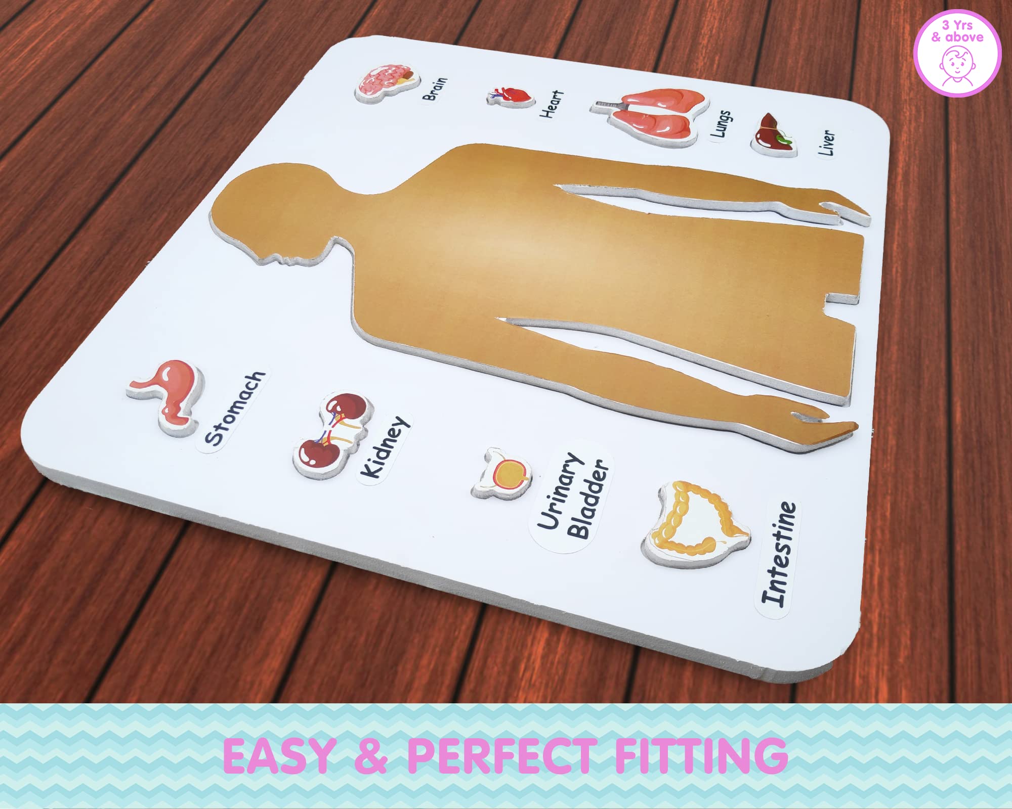 Preschool Game for Learning Human Body Parts Anatomy Skeleton - Educational Wooden Puzzles - Gift Toys for Boy and Girl - Image 3