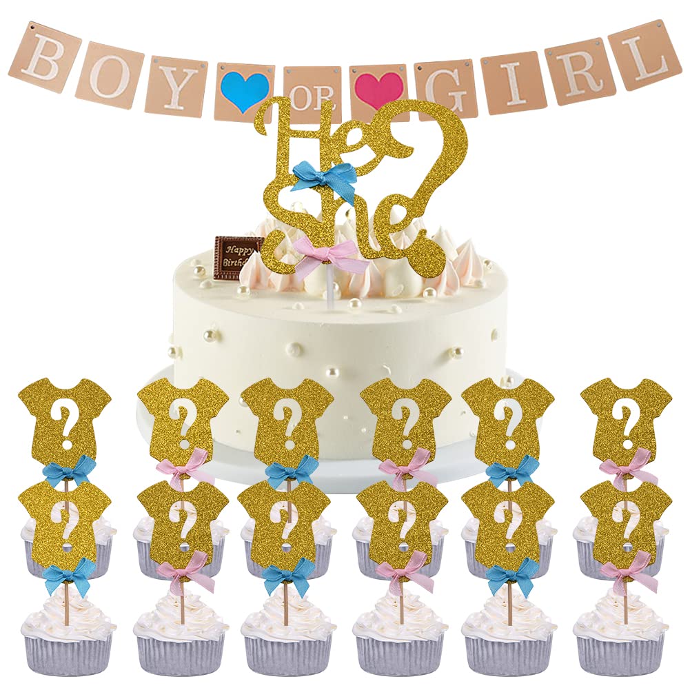 Buy 14pcs Gender Reveal Cake Toppers He or She Cake Decorations,Gold