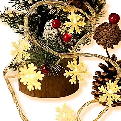 Pisca Pisca Cordão de Luzes LED Floco de Neve 10 Metros USB Controle Remoto À Prova D'água Multicores Impermeavel Natal Colorido Amarelo Branco