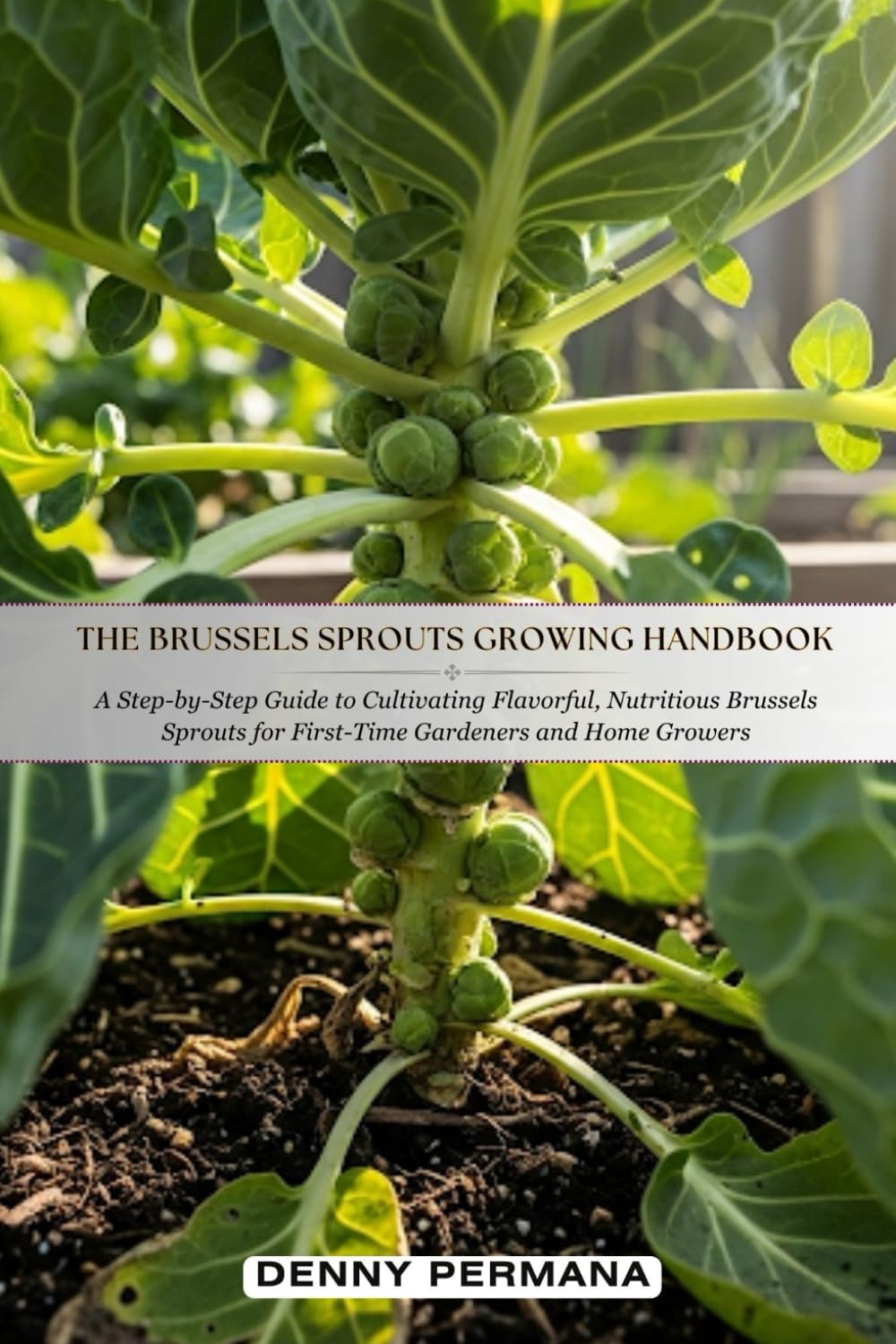 The Brussels Sprouts Growing Handbook: A Step-by-Step Guide to Cultivating Flavorful, Nutritious Brussels Sprouts for First-Time Gardeners and Home Growers