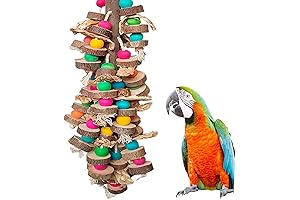 Parrot Toys for Large Birds: A Comprehensive Guide to Entertaining Your Feathered Friend
