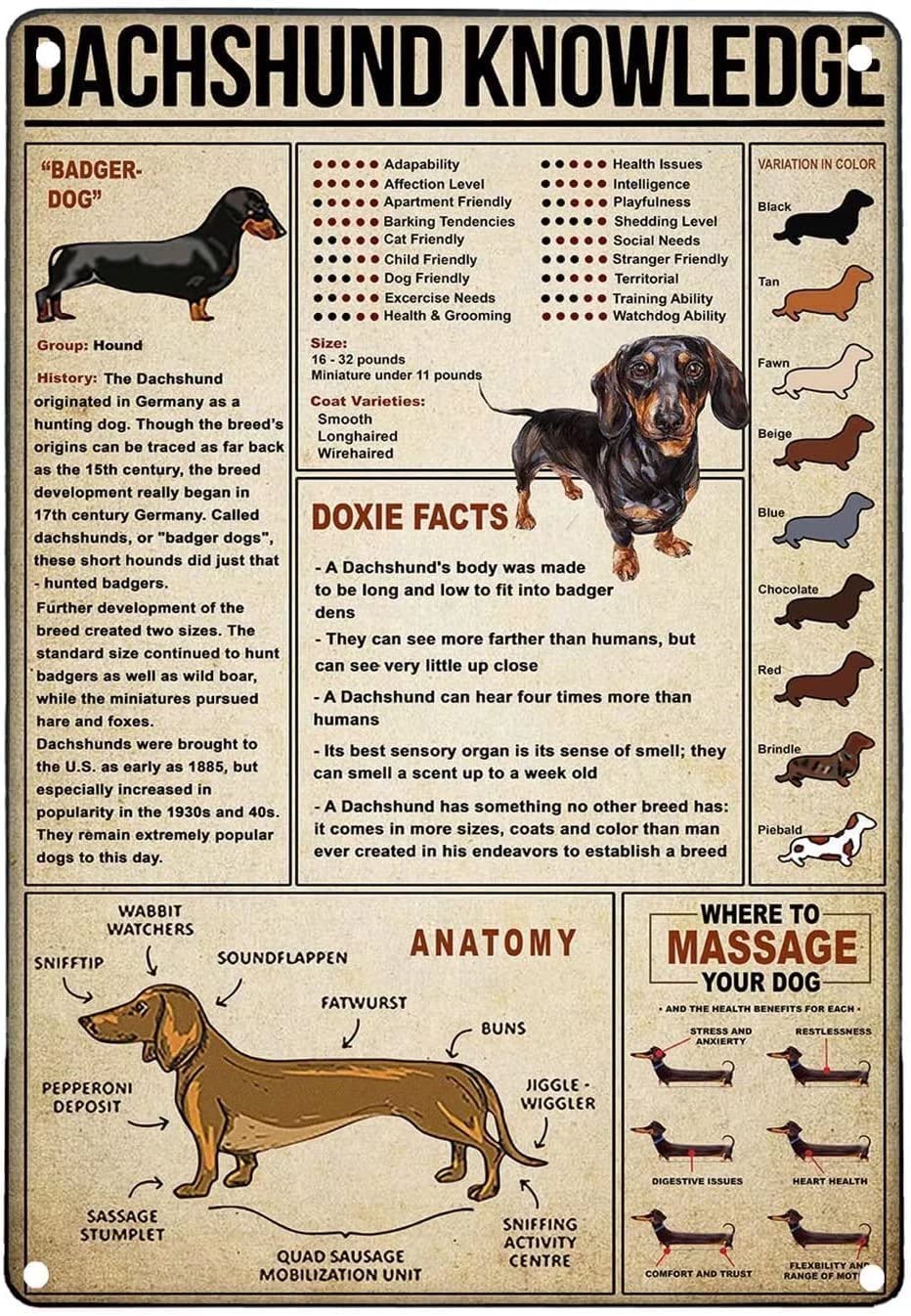 Dachshund Knowledge Metal Tin Sign Vintage Chic Art Decoration for Home Bar Cafe Farm Store Garage or Club 8x12 Inch