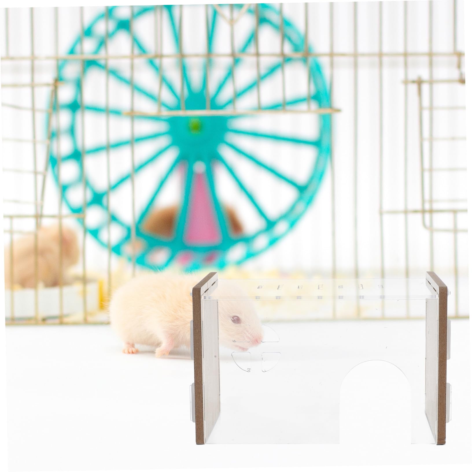 Amazon | 透明アクリル製ハムスター隠れ家 小動物用巣箱 便利なケージ