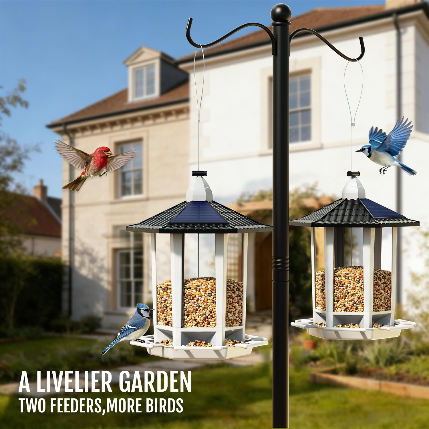 Birdream Paquete de 2 comederos solares para pájaros para colgar al aire libre, requiere montaje, fácil instalación en 1 minuto, comederos de semillas silvestres para cardenales, gallinas y pinzones