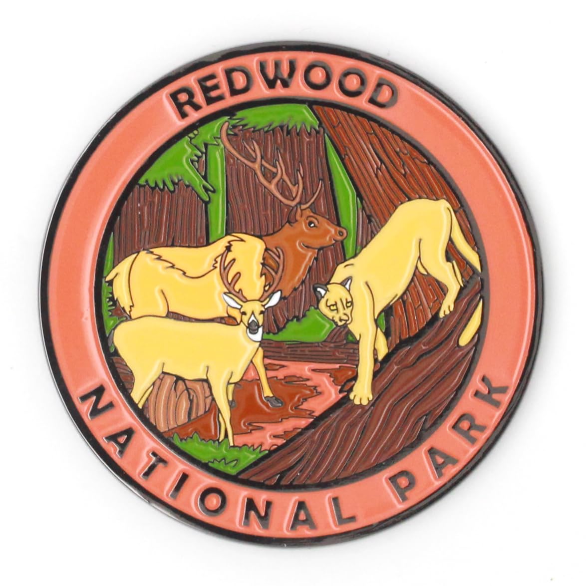 Redwood National Park keepsake