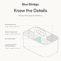 Vista 4 de BLUE GINKGO - Organizador apilable para baño, oficina, manualidades o suministros escolares, transportador portátil hecho en Corea