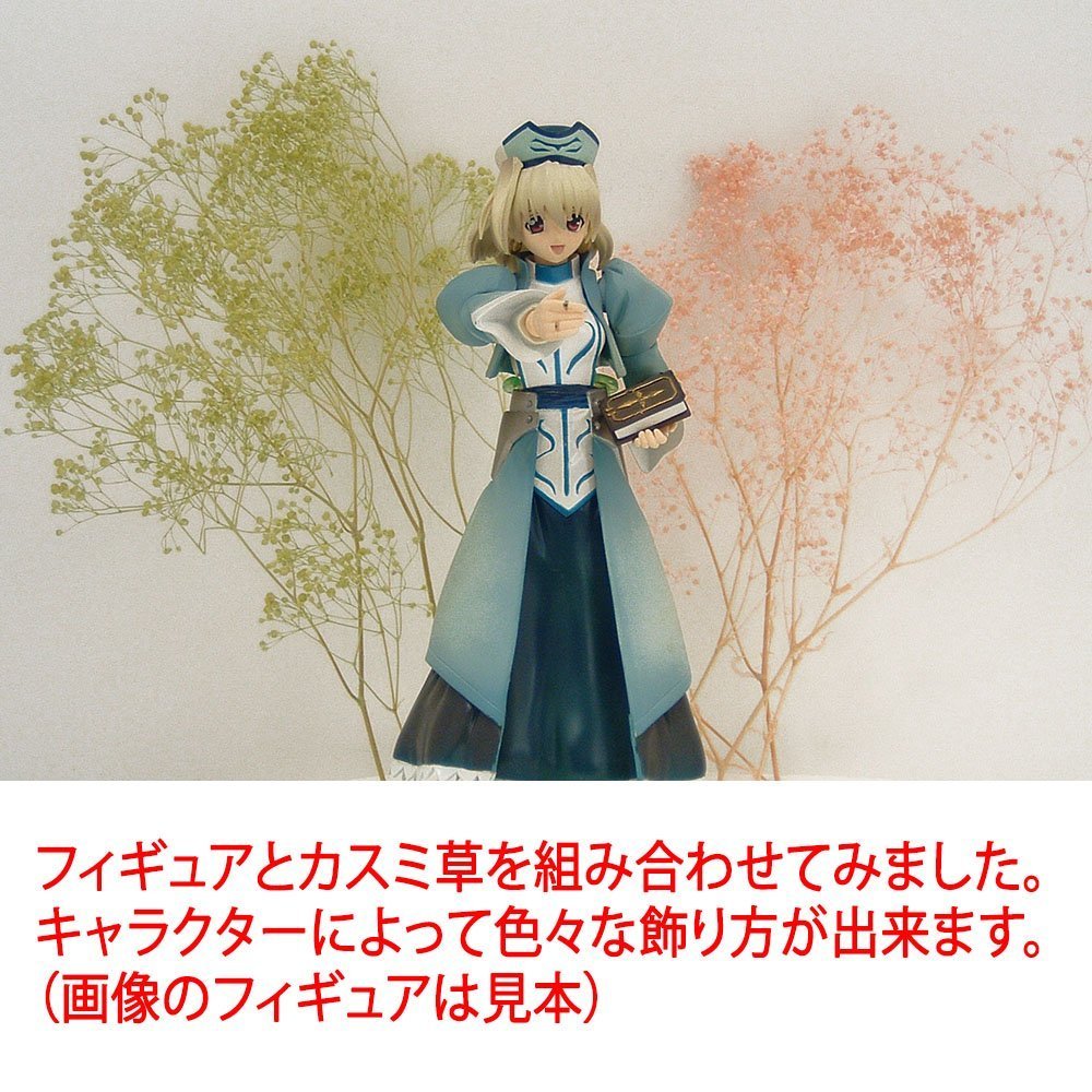 Amazon | takeda かすみ草 S (エンジェルグリーン) | TAKEDA | ドライ