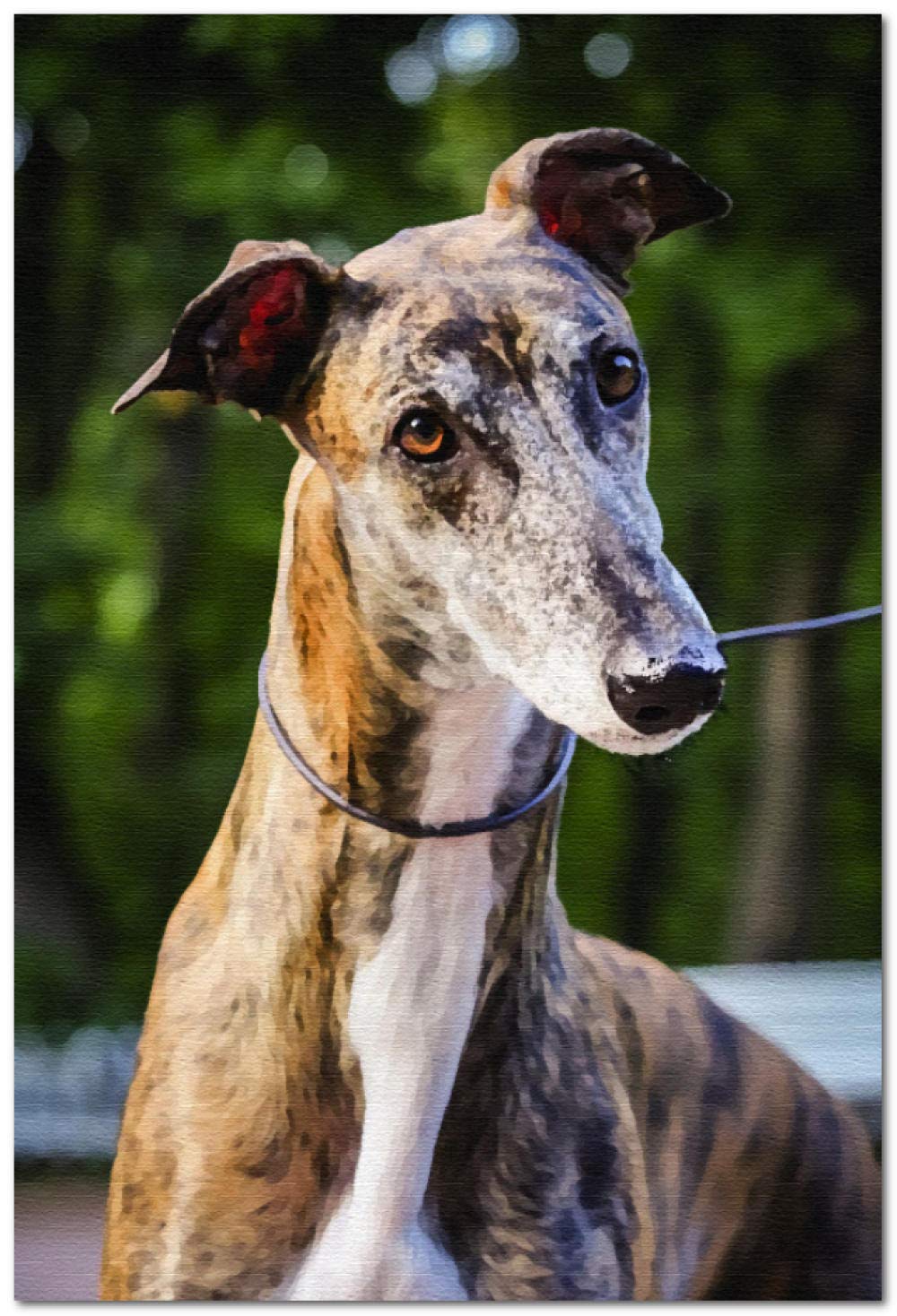 Nprzm H334 Diamond Painting Painting For Adults Greyhound Pet Dog Animal Art Kit 5D Diy Diamond Art Paintingfor Beginner 30X40cm