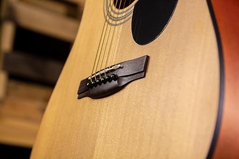 Amazon.ca: Jasmine Guitars