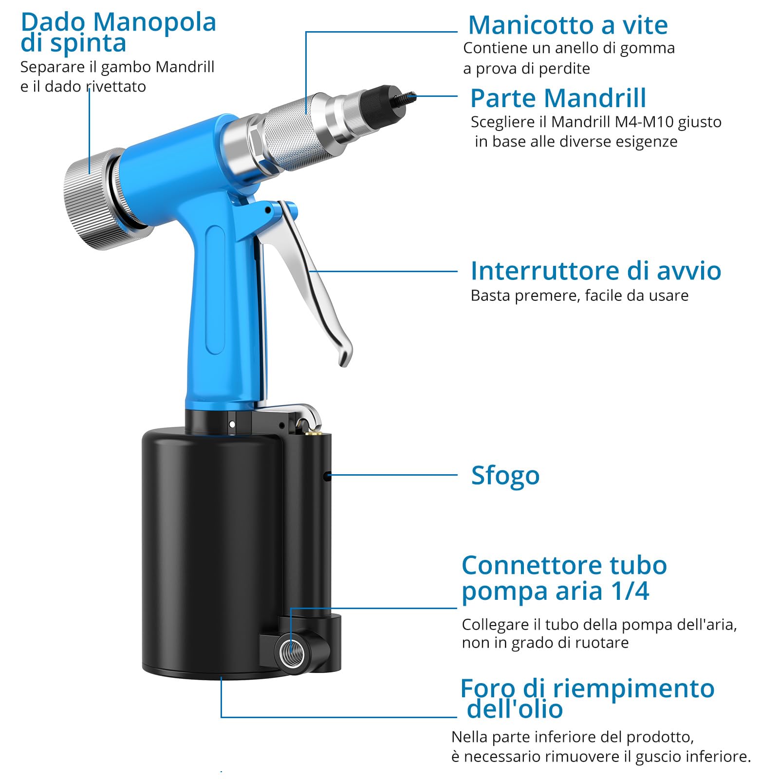 AUTOUTLET Kit Rivettatrice ad Aria con M4 M5 M6 M8 M10 Mandrini e 100 Pezzi Dadi per Rivetti,Rivettatrice Professionale ad Aria Compressa per Lamiere di Alluminio, Ferro, Acciaio Inox
