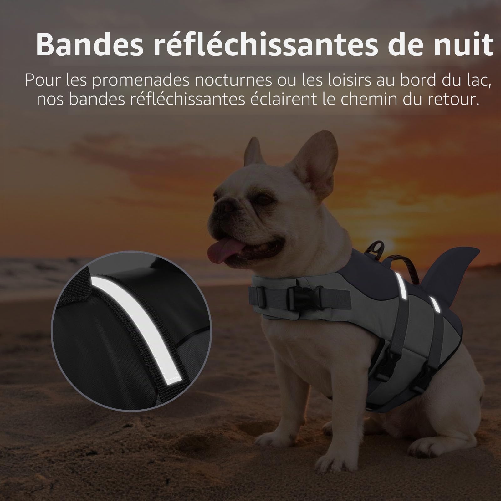 CITÉTOILE Gilet de Sauvetage pour Chien, Gilet de Sauvetage pour Chien avec poignée et réfléchissant, avec Une Bonne flottabilité, léger et sûr pour Les Sports Nautiques, Gris, XS