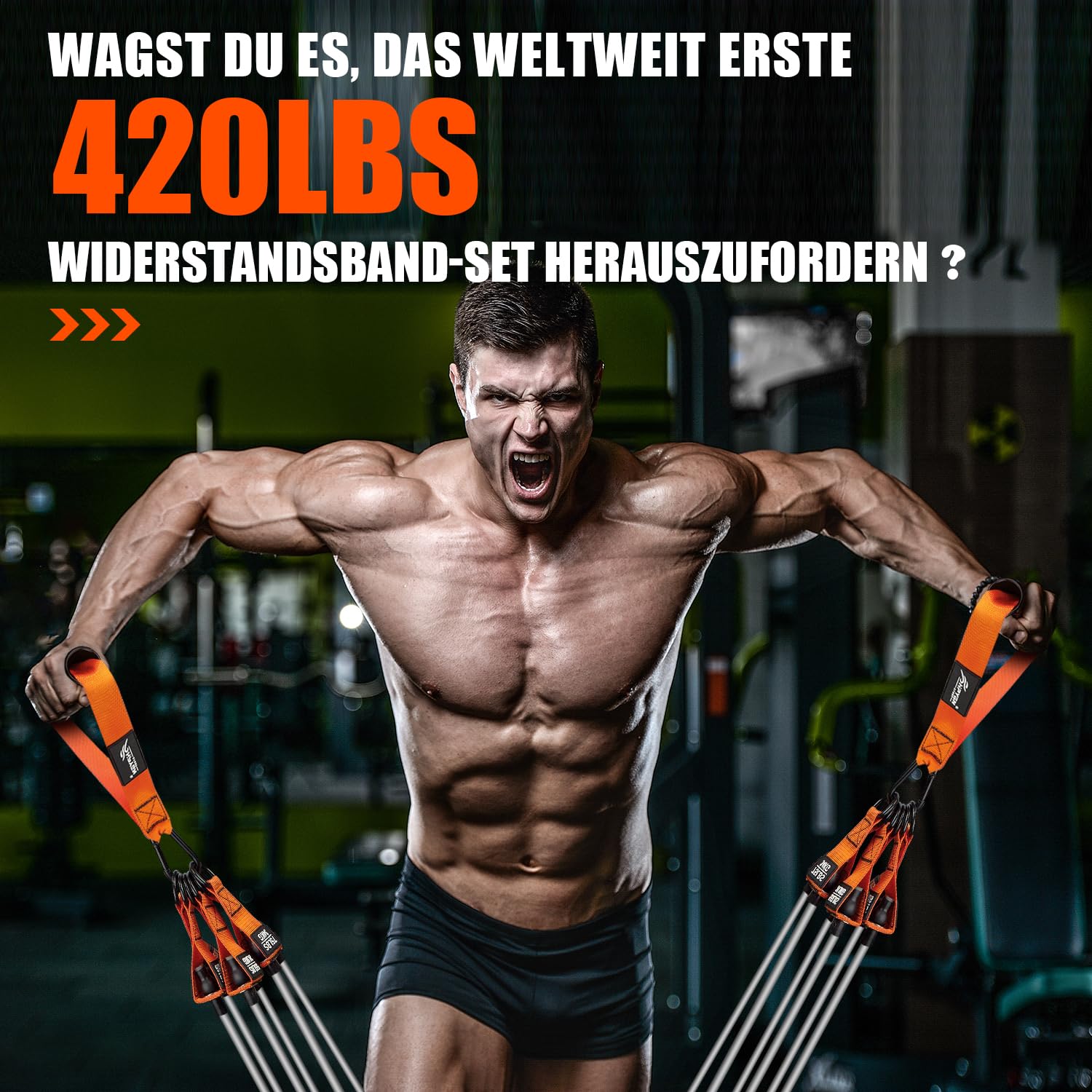 HPYGN Bandes de résistance de 300 lbs - Bandes de résistance - Bandes de fitness - Bandes de résistance avec poignées - Sangles de cheville et ancrage de porte - Sac à dos portable - Pour l'intérieur