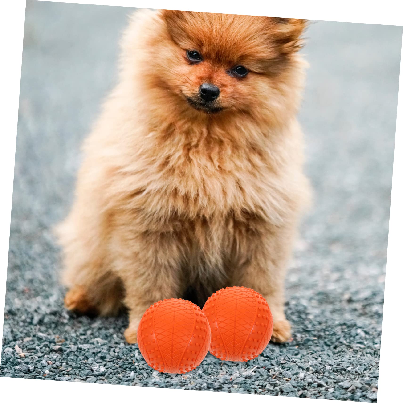 ORFOFE 4stücke Hundeball Spielzeug für Kleine und Mittelgroße Hunde Apportierball aus Robustem Gummimaterial Bissfest und Abriebfest Geeignet für Drinnen und Draußen