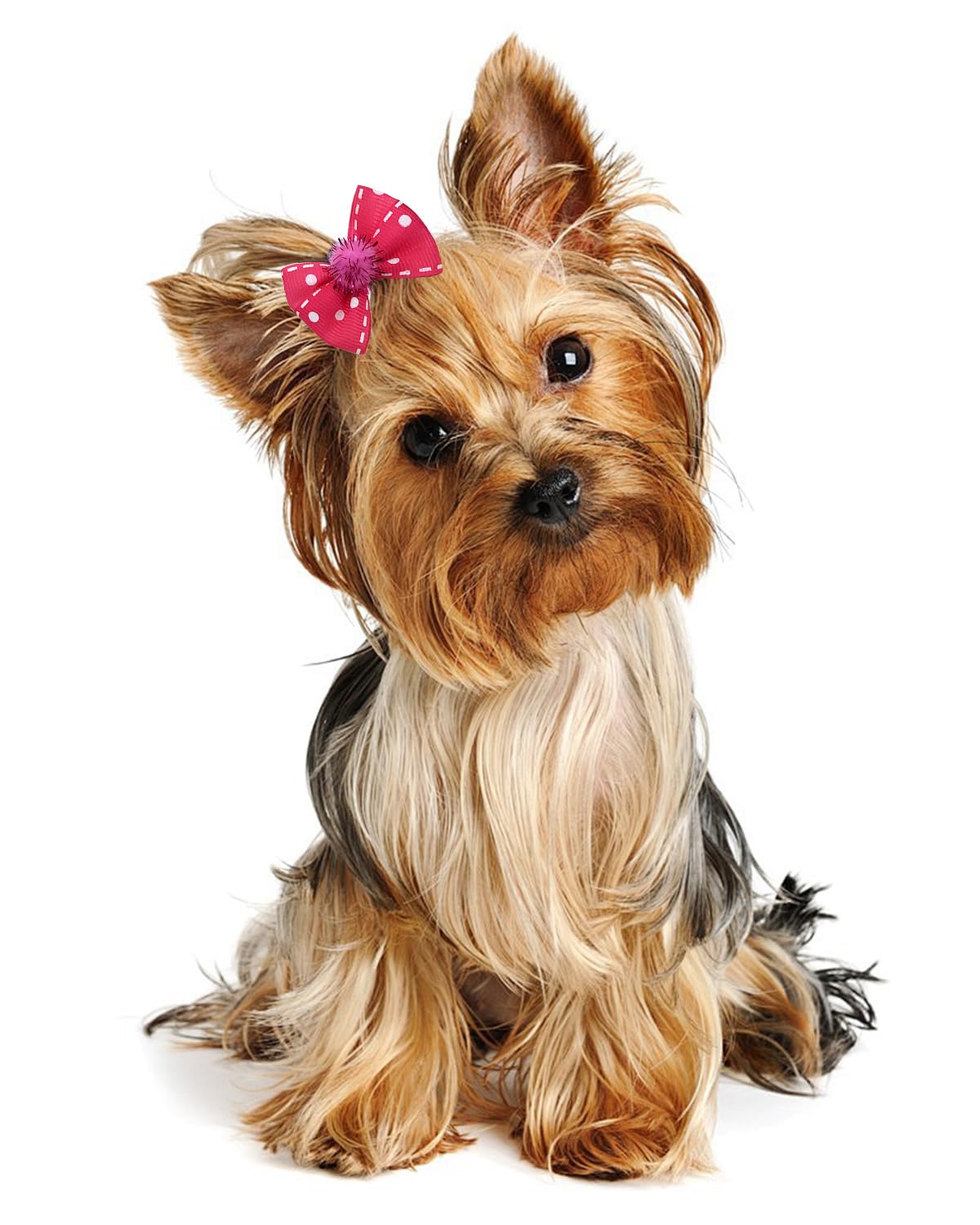 BIPY 100pcs/pack Small Dog Hair Bows with Rubber Bands for Doggies Puppies Kitten Valentine's Day Wedding Festival Pet Yorkie Alpaca Topknot Attachment Grooming Accessories Random Color - Image 4