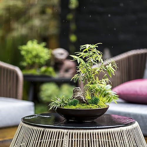 Miniatura 2 de Yardwe DIY Grupo de césped para construcción de modelos de hierba miniatura Tuft paisaje arena mesa modelo caja conjunto