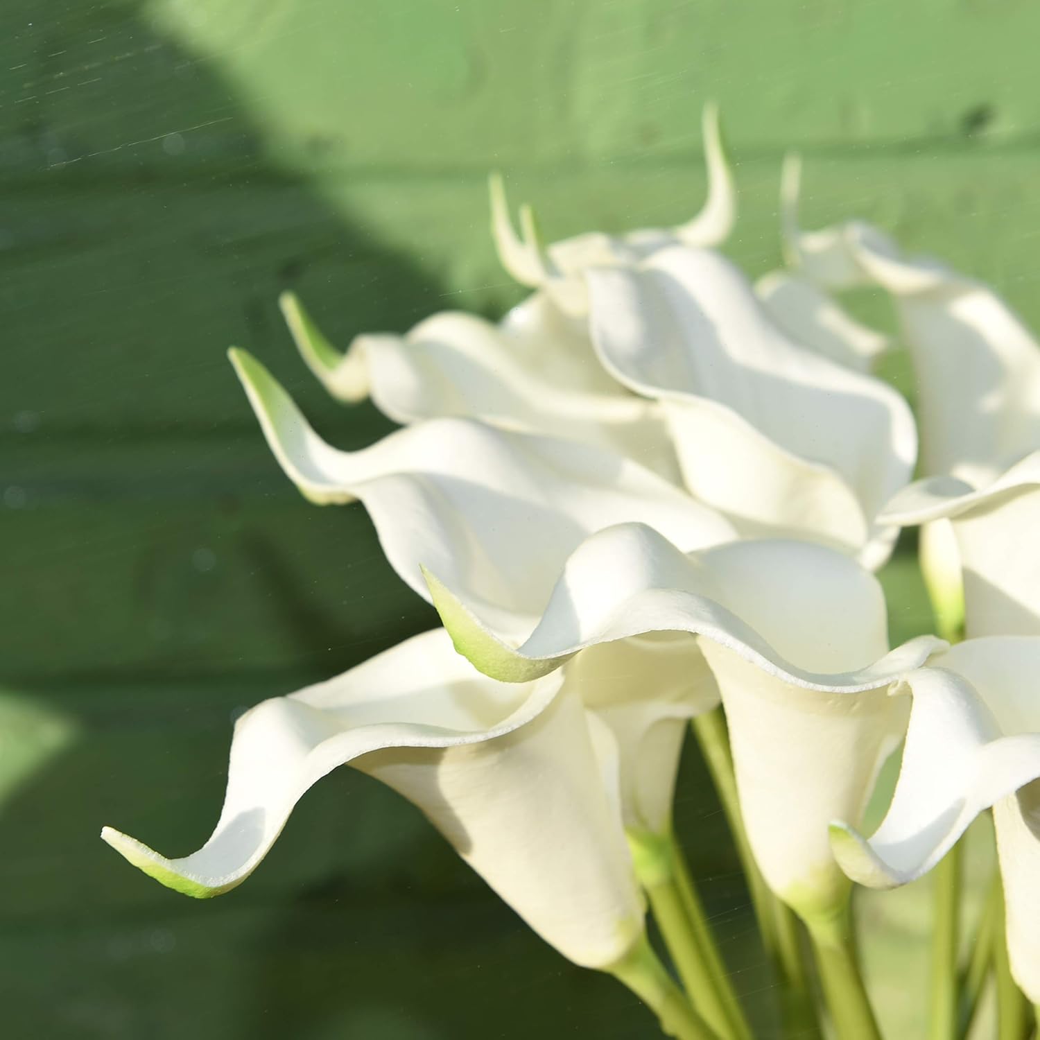 Buy Mandy S 20pcs Milk White Artificial Calla Lily Silk Flowers 13 5 For Home Kitchen Wedding Decorations Online In Vietnam B07wp86612