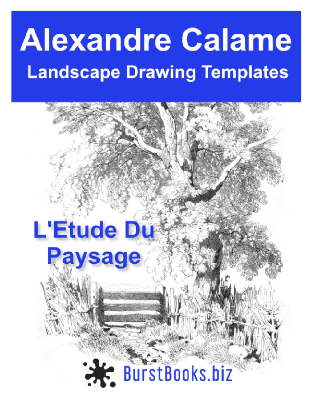 Alexandre Calame Landscape Drawing Templates: L'Etude Du Paysage (The Ultimate Drawing Collection)